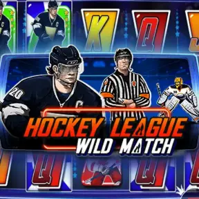 Hokey Leage wild match